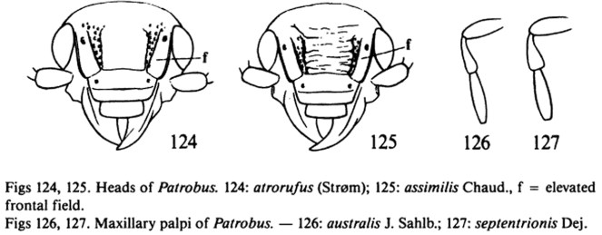 patrobus